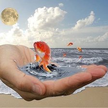 Схема вышивки «золотая рыбка»