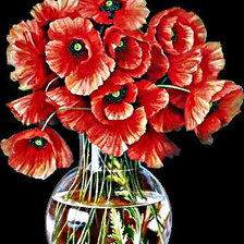 Схема вышивки «маки на черном»