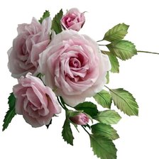 Схема вышивки «Розы»