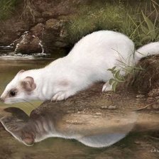 Схема вышивки «№385374»