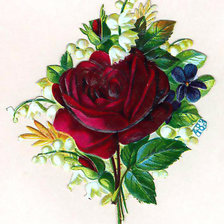 Схема вышивки «№385501»