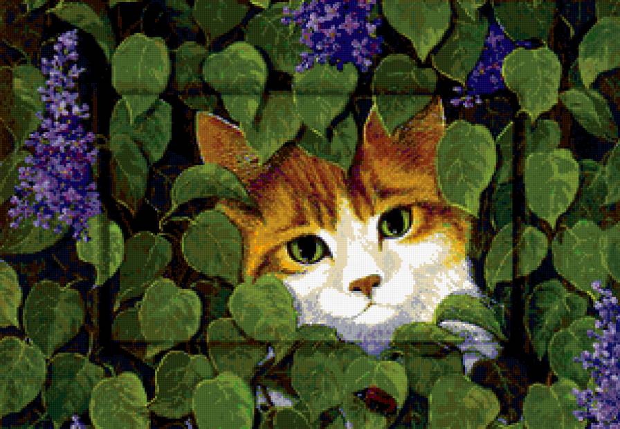 в зарослях сирени - сирень, котенок - предпросмотр