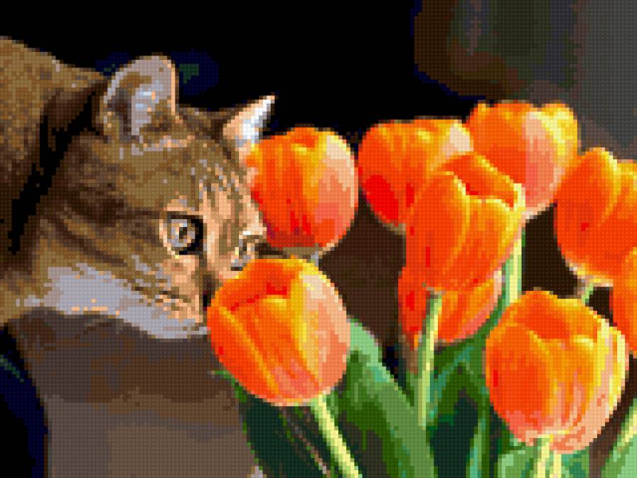 Любопытство - предпросмотр