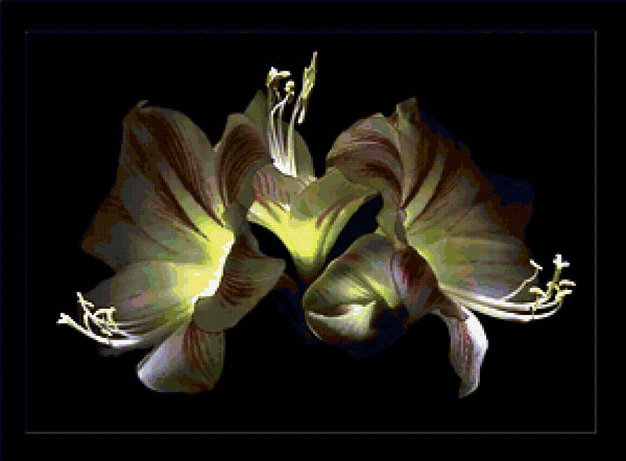 цветы - предпросмотр