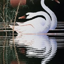 пара лебедей