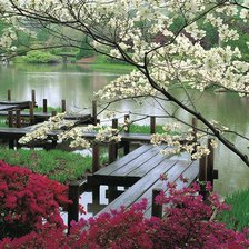 Схема вышивки «сакура»