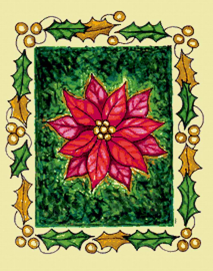 пуансентия - цветок - предпросмотр