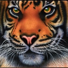 Схема вышивки «Серия "Большие кошки"»