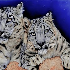 Схема вышивки «Серия "Большие кошки"»