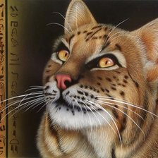 Схема вышивки «Серия "Большие кошки"»