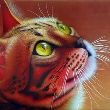 Схема вышивки «Серия "Кошки"»