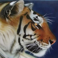 Схема вышивки «Серия "Большие кошки"»