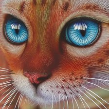 Схема вышивки «Серия "Кошки"»