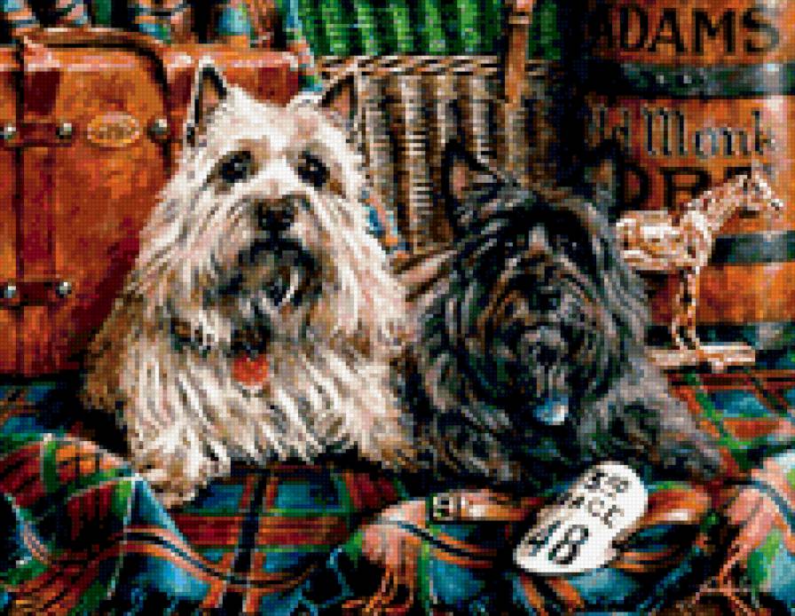 Скоч-Терьеры (Пара) - собаки - предпросмотр