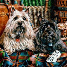 Схема вышивки «Скоч-Терьеры (Пара)»