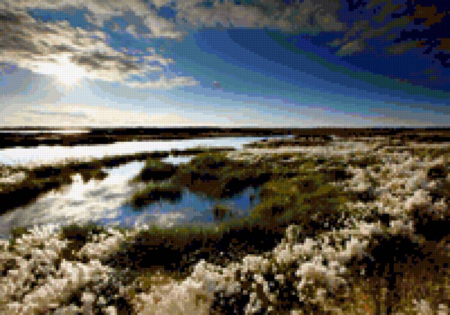 Тундра - предпросмотр