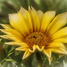 Схема вышивки «Цветок.»