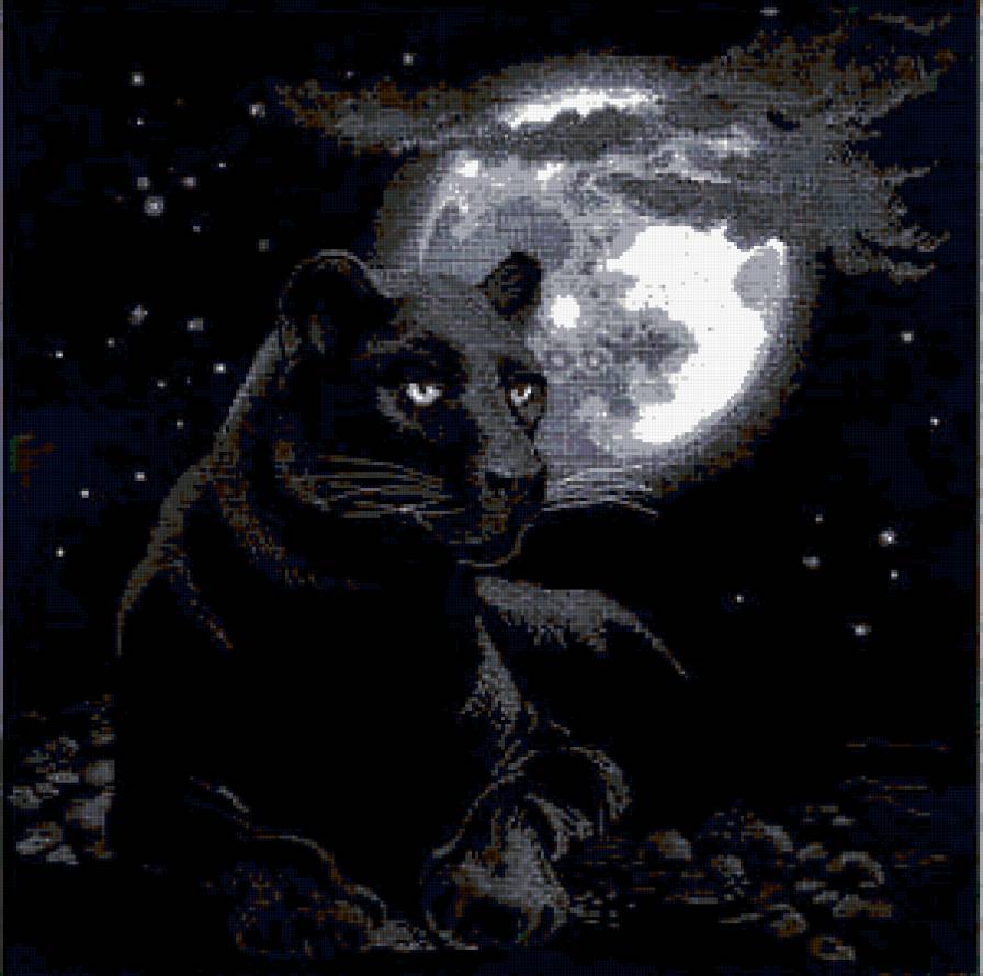 полнолуние - предпросмотр