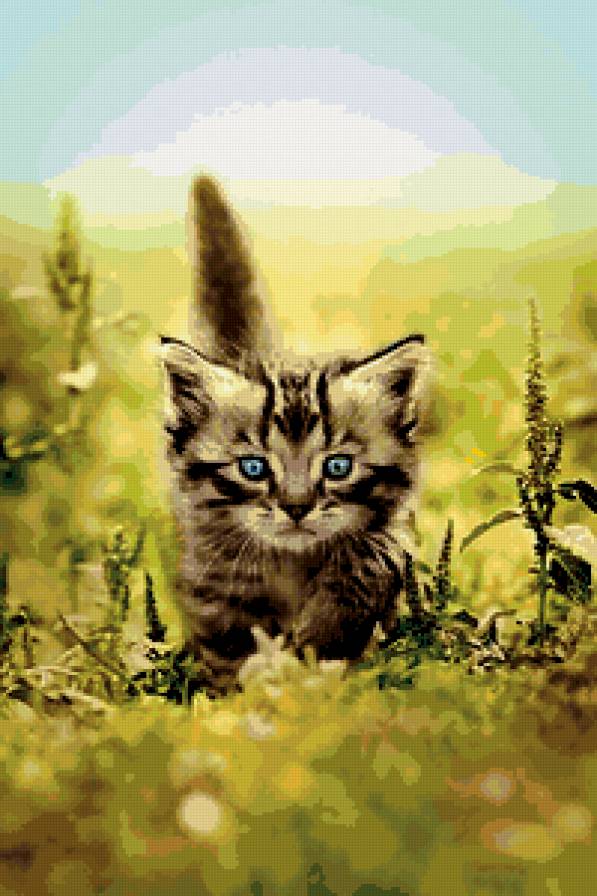 Котенок - котенок, животные - предпросмотр