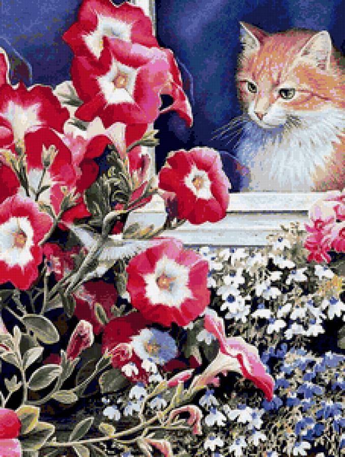 Кот и птичка - котенок, животные, колибри, кошка, кот, кошки, мальва - предпросмотр