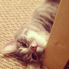 Схема вышивки «№386185»