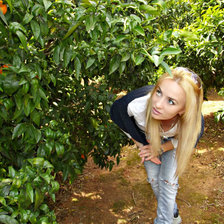 Схема вышивки «подруга»