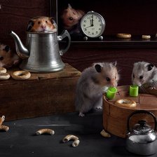 Схема вышивки «хомячки»