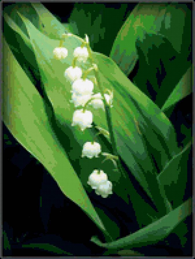 ландыш - листья, панно, природа, цветы, ландыш - предпросмотр