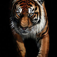 Схема вышивки «из темноты»