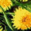 Предпросмотр схемы вышивки «одуванчики» (№386344)