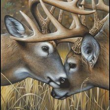 Схема вышивки «№386429»