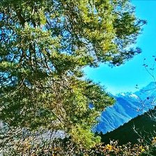 Схема вышивки «Домбай»