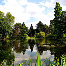 Схема вышивки «Озеро в лесу»