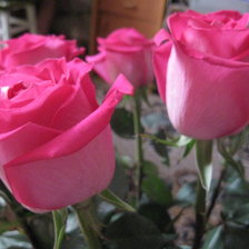 Схема вышивки «розы»