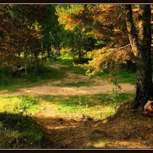 Схема вышивки «Лес»