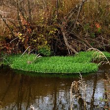 Схема вышивки «Воронежский край»