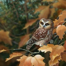 Схема вышивки «сова»