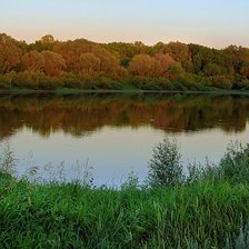 Схема вышивки «у пруда»