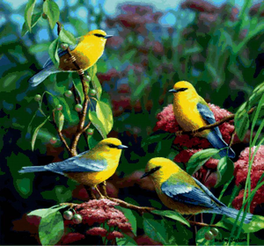 ветка с птицами - предпросмотр