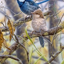 Схема вышивки «птички2»