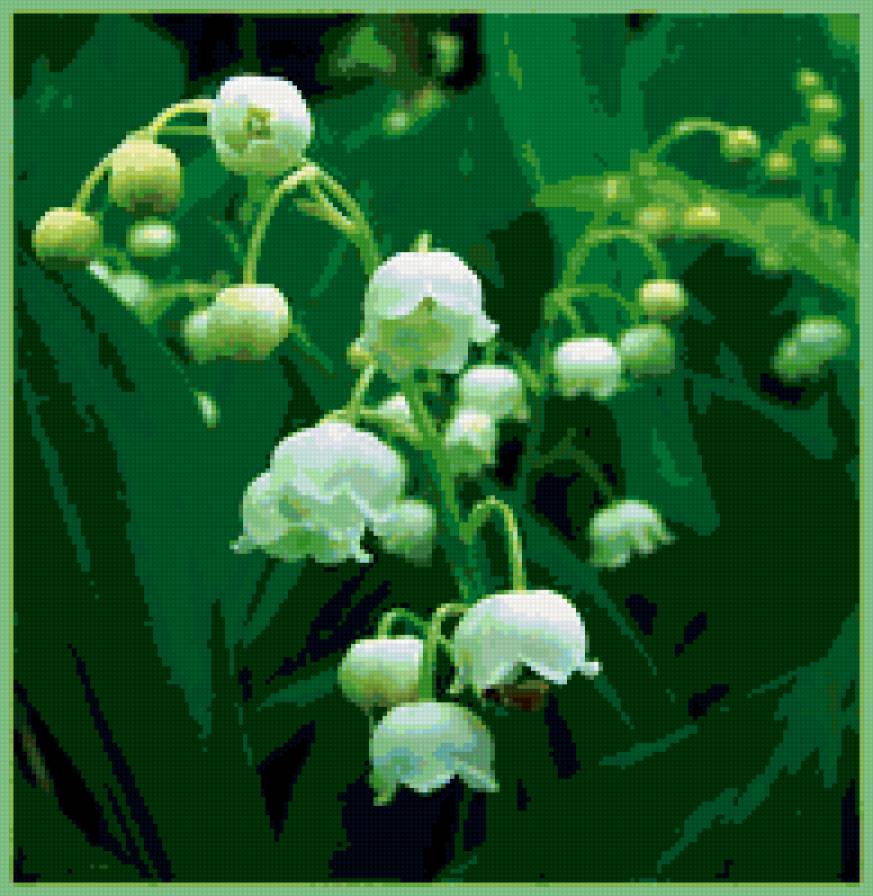 ландыши - цветы - предпросмотр