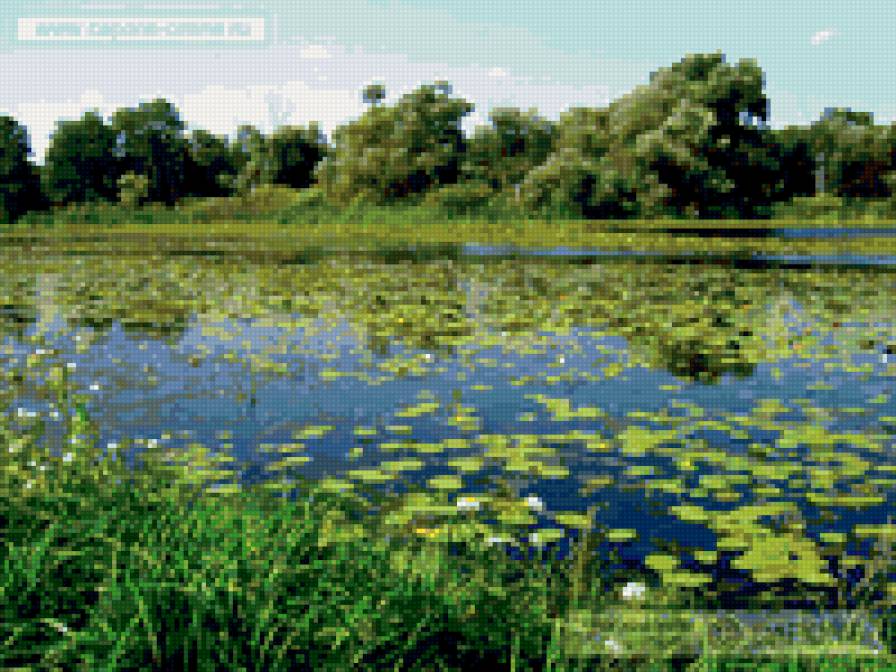 у воды - вода, природа - предпросмотр