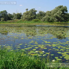 Схема вышивки «у воды»