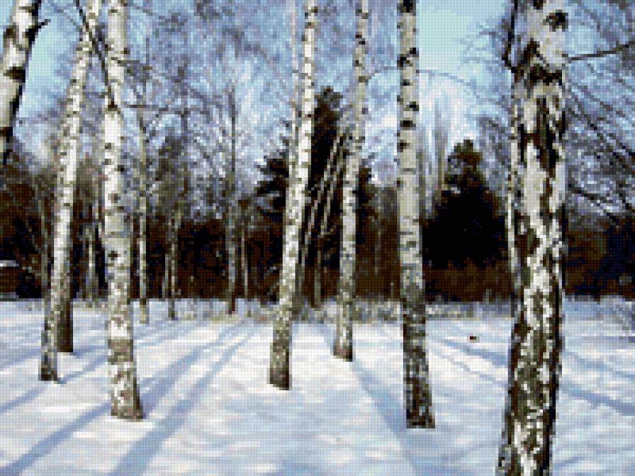 зимний лес - времена года, пейзаж, природа - предпросмотр