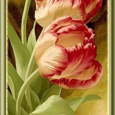 Схема вышивки «Тюльпаны»