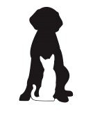 Кошка и собака - собака, черно-белый, кошка - оригинал