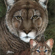 тигрица с малышом