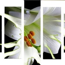 Схема вышивки «№386931»