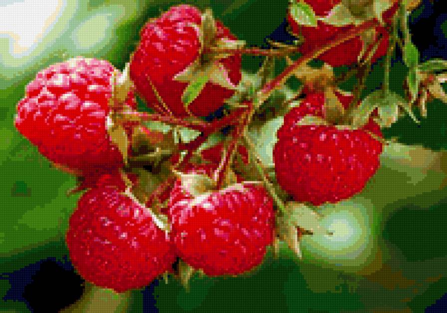 fsdfg - предпросмотр