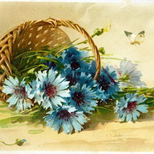 Схема вышивки «васильки»